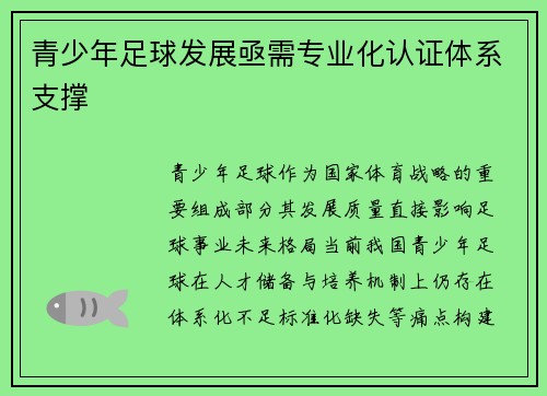 青少年足球发展亟需专业化认证体系支撑
